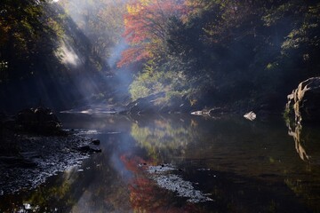紅葉の嵐山渓谷・埼玉県