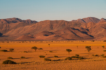 Fototapeta na wymiar Namibian desert by evening