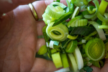 Home personal chef washing leeks by hand from farmer's market in metal bowl