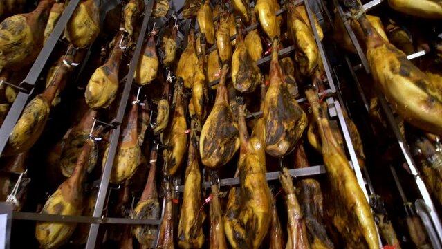 wide panning shoot of rack full of ham legs hanging in a industry of legs of Iberian ham, where it is seen in the reflections of light on the black brown skin of Iberian pig on huge factory full