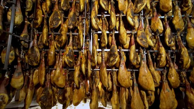 wide unique detailed shoot of rack full of ham legs hanging in a industry  legs of Iberian ham, where it is seen in the reflections of light on the black brown skin of Iberian pig on huge factory full