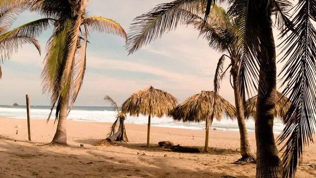 Tropical Beach Natural Thatch Umbrella Palm Trees Waving Slow Ocean Summer Vibes