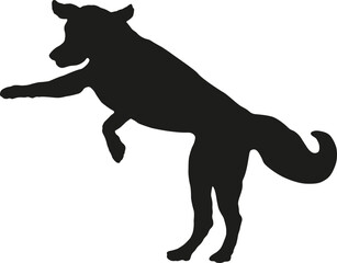 Jumping golden retriever puppy. Black dog silhouette. Pet animals. Isolated on a white background. Vector illustration.
