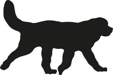 Black dog silhouette. Walking newfoundland puppy. Pet animals. Isolated on a white background. Vector illustration.
