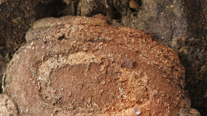 stylish blend of unique wooden textures