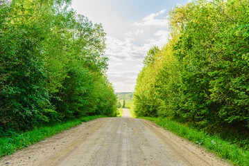 Empty Sandy country road near the forest,fluffy clouds blue sky,summer evening landscape.