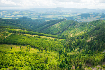 Obraz premium Aerial view of amazing landscape with high trees on the hills in a summer sunny day, Dolni Morava, Czech Republic.