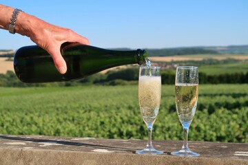 Main de femme tenant une bouteille de champagne et versant le vin dans deux verres (flûtes / coupes), devant un paysage de vigne dans la Marne, en Champagne Ardenne, région Grand-Est (France)
