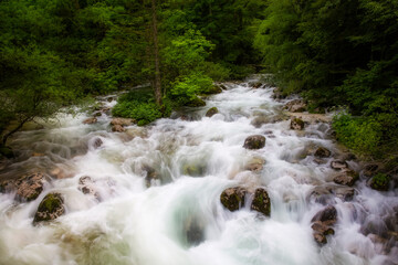 Rapids in the Sava Bohinjka River in Triglav National Park, near the Savica Waterfall and Lake Bohinj, Slovenia - obrazy, fototapety, plakaty