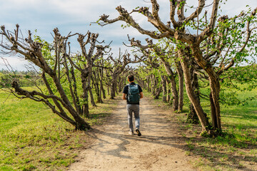 Obraz premium Tourist walking in Flower Garden built in Baroque French-style,included in UNESCO world heritage list,Kromeriz,Czech Republic.Labyrinth of green walls,floral and sculptural decoration,path in park