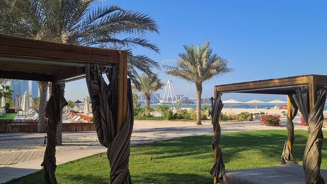 JBR Beach, Dubai UAE, Cabanas in Garden, Parasols and Ferris Wheel in Background