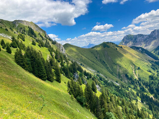 Obraz premium Montreux, Switzerland: 01-08-2022: Panorama of the Switzerland Alpine mountains. Ridges, peaks and lake are visible in the background. Beautiful view in the French Canton.