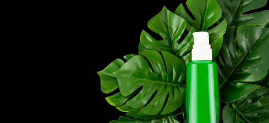 Opened green bottle with tropical monstera leaf on isolated black background close up. Brand...