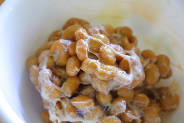 日本の発酵食品の納豆