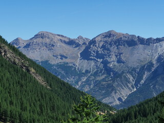 Fototapeta na wymiar massif des écrins dans les alpes françaises. Montagne rocheuse avec forêts de mélèzes zt d'épicéas sur fond de ciel bleu.