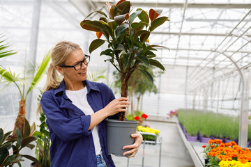 Cheerful caucasian woman holding green house plant in nursery