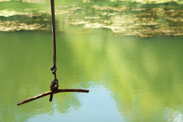 A bungee on a rope hanging down from a tree above the green river with seaweed on the surface.