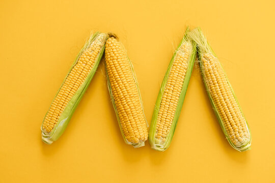 Corn on the yellow background