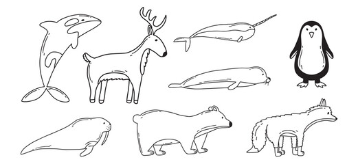 Set of arctic animals. Doodle style. Vector illustration. Cute narwhal, reindeer, polar bear, seal and walrus.