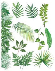 Fototapete Tropische Blätter Watercolor tropical leaf paint illustration with clipping parts isolated on white background.