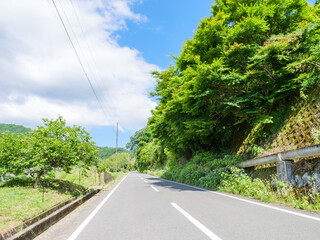 Fototapeta na wymiar Japanese countryside in midsummer, beautiful blue sky, roadway built along the mountains.