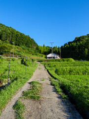 Asia, rural village in midsummer, crisp and beautiful scenery surrounded by blue sky and forest