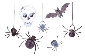 A set of spiders, a skull, a bat. A collection of hand-painted watercolor elements isolated on a white background for Halloween decor.