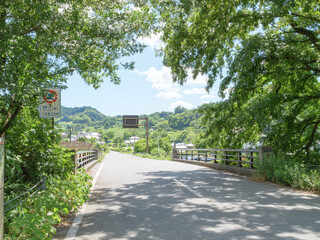Asia, rural village in midsummer, crisp and beautiful scenery surrounded by blue sky and forest
