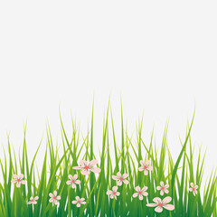 Grass with little pink flowers
