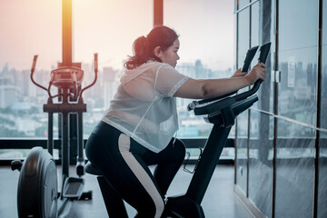 Fat woman trainer under setting treadmill program for exercise trainer looking happy her result...