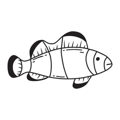 Cute clown fish. Doodle style. Vector illustration. Striped fish.