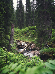 Bergbach im Raurisertal
