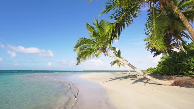 Blue ocean and paradise island beach landscape. Palm trees on the sea coast on a sunny day. Bright blue sky over blue waves on white sand. camera zoom
