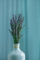 Lavender flower in vase on aqua color background