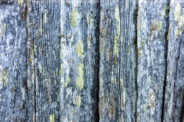 Old wooden planks texture background close up