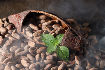 cocoa fruit and beans are lying on the table with smoke