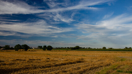 Obraz premium field and clouds