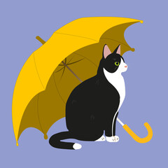 Cat under yellow umbrella