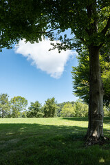 Fototapeta na wymiar beautiful green landscape with bluish sky with white clouds
