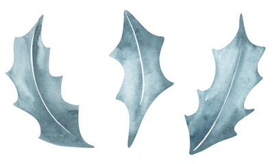 Watercolor illustration of Christmas poinsettia leaves isolated on white background.A watercolor illustration. Template for a greeting card for Christmas and New Year.