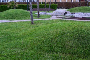 Beautiful park with green lawn, plants and walkways