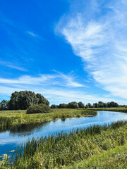Fototapeta premium Summer rural river landscape on a sunny day. Countryside panorama with grass, trees and sky in Europe.
