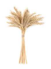 Fototapeta premium Ears of wheat on white background. Cereal plant