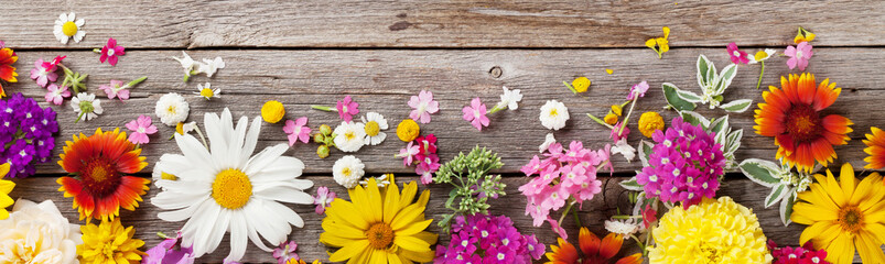 Fototapeta na wymiar Garden flowers over wooden background