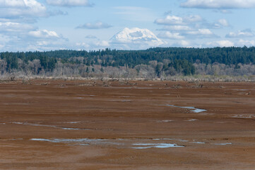 Mount Rainier peak view from the Billy Frank Jr. Nisqually National Wildlife Refuge, WA, USA