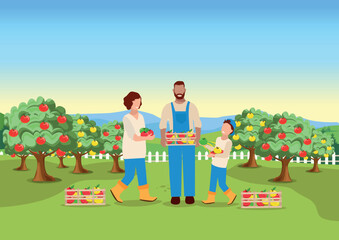 Obraz premium A happy family is harvesting apples in their garden. Vector illustration in a flat style.