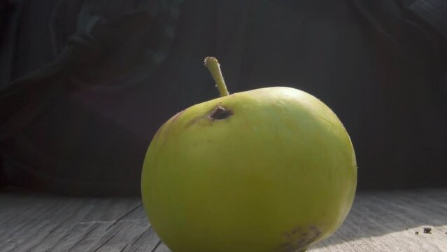 Green apple standing on a wooden bench, worm apple, natural garden, environmentally friendly apple