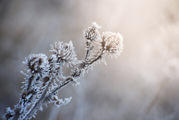 Beautiful winter landscape with Girskiy Tikych river running through frosted trees and rocks.