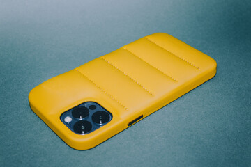 Yellow puffer case. 