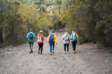 Fototapeta na wymiar Multiracial women having fun during trekking day in mountain forest - Focus on backpacks